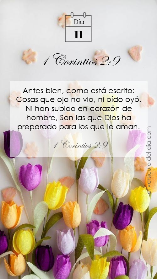 Versículo 1 Corintios 2:9