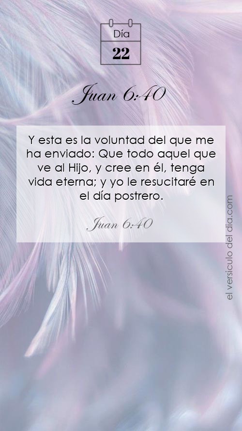 Juan 6:40