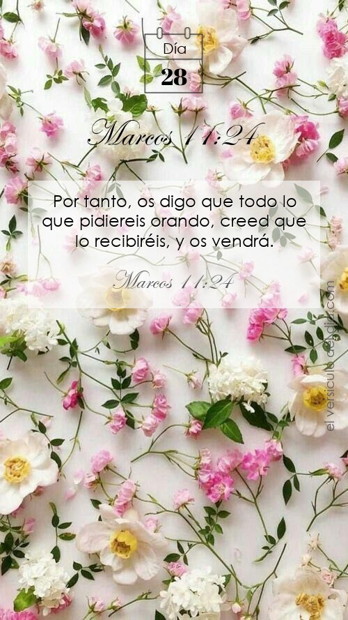 Marcos 11:24