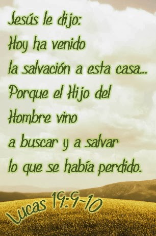 Hoy ha venido la salvación a esta casa