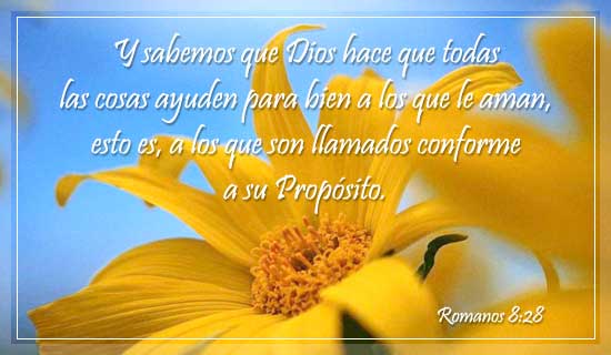 postal11