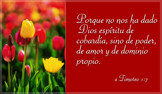 postal6