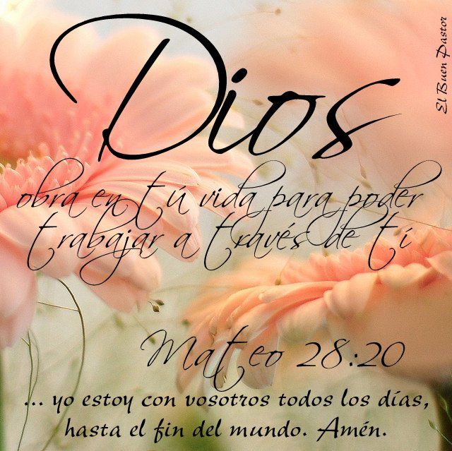 Mateo 28-20 reflexiones cristianas