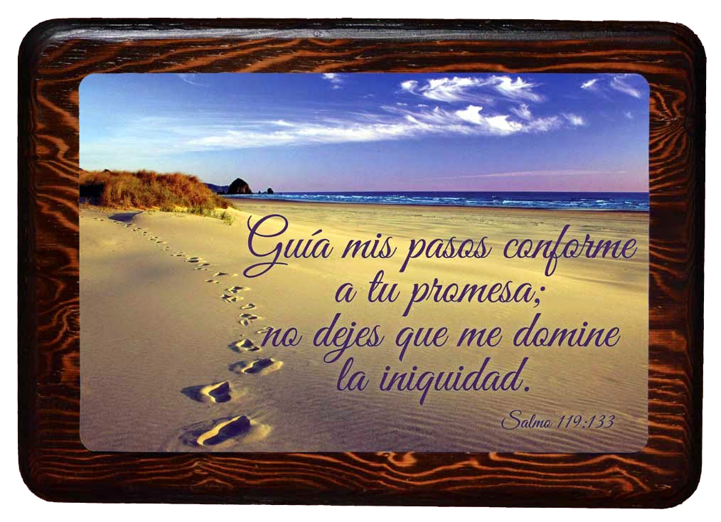 Salmo 119-133 - pensamiento del dia