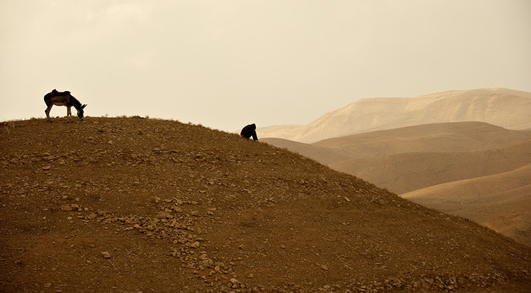 Inline image 1