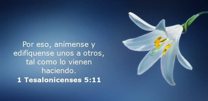 1-tesalonicenses-5-11 pensamiento