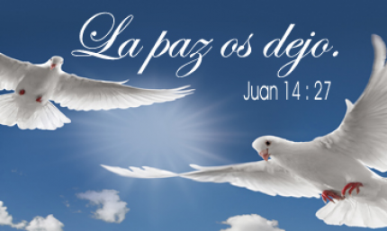 Juan 14-27 pensamiento del dia