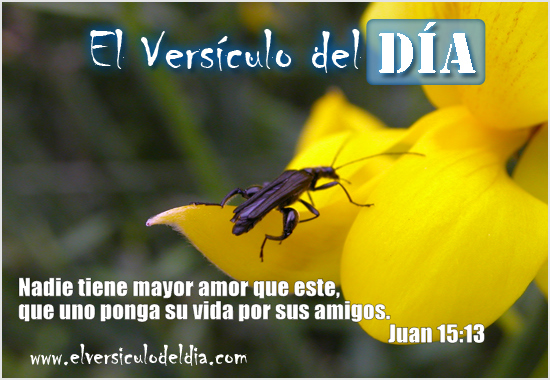juan-15-13 reflexiones