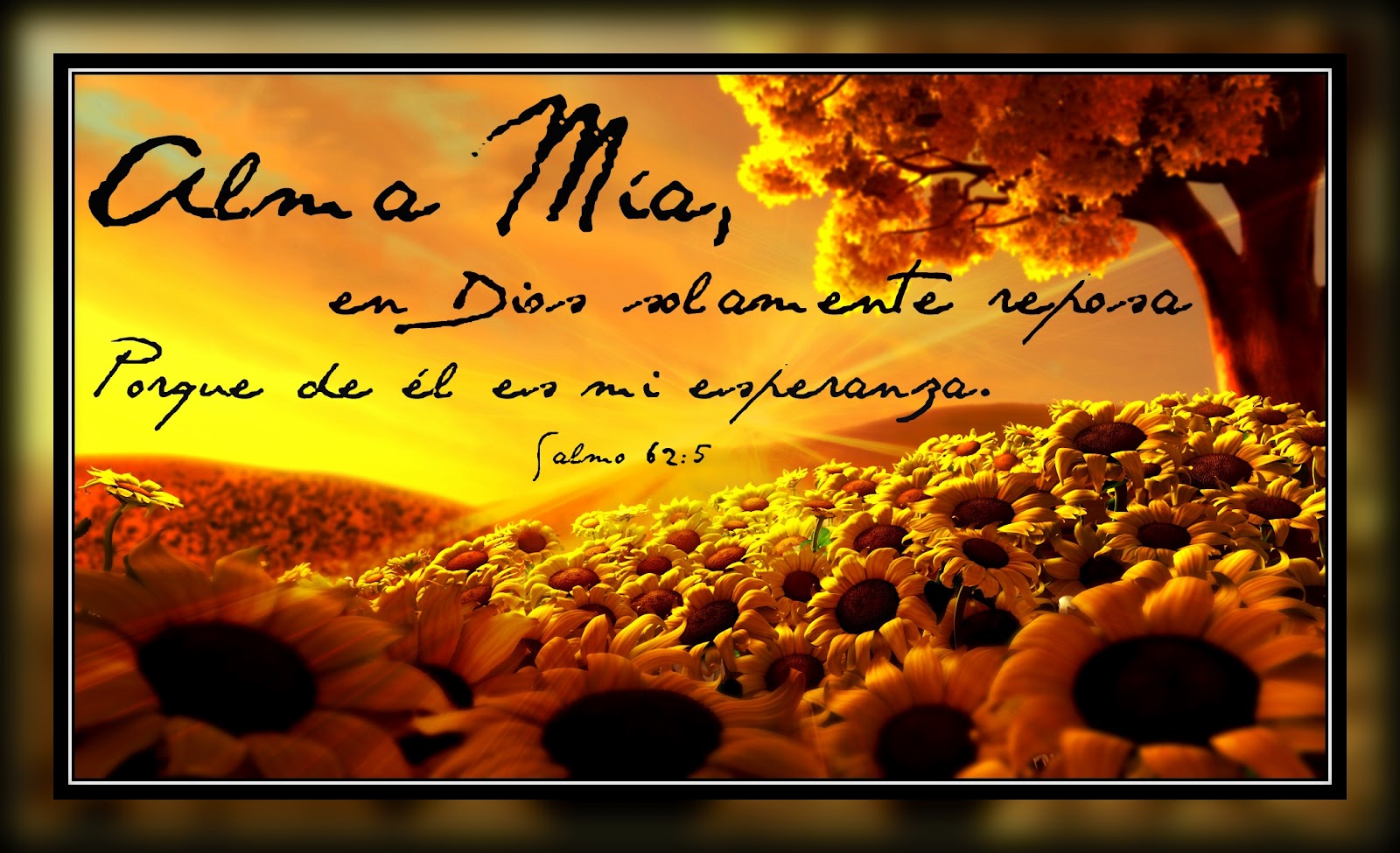salmos 62-5