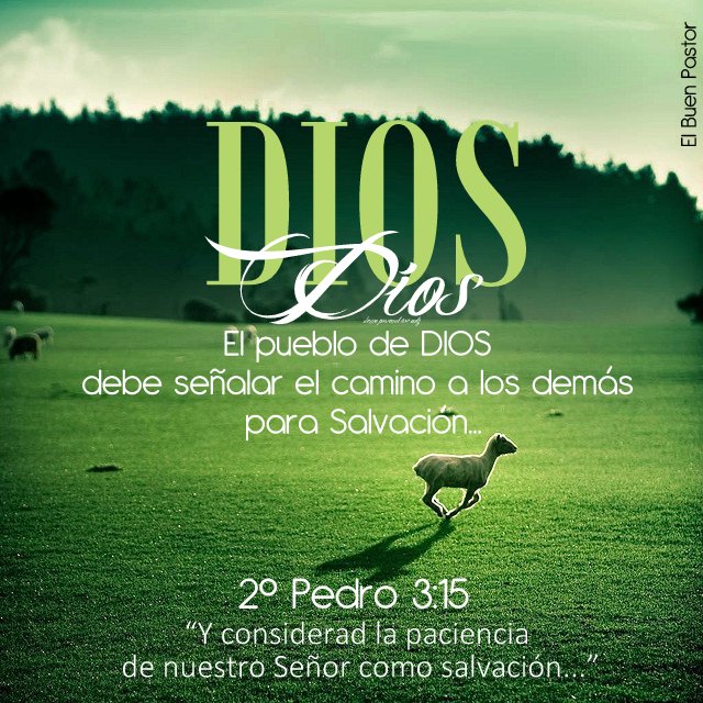 2 PEDRO 3.15-Reflexiones cristianas