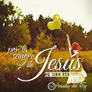 Romanos 5-8-9-pensamiento del dia