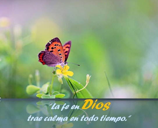 fe en Dios - Reflexiones cristianas