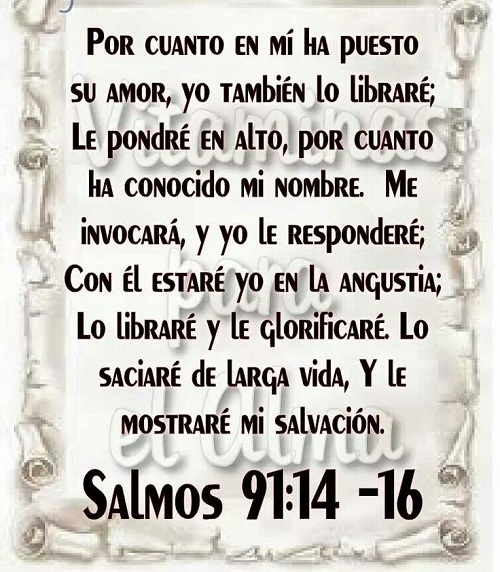 Salmos 91-14