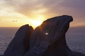 roca