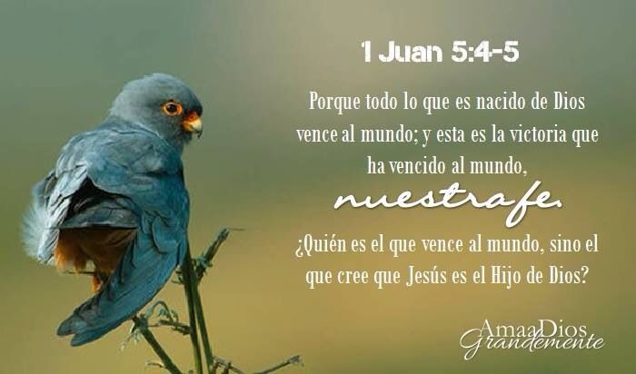 Ama a Dios Grandemente