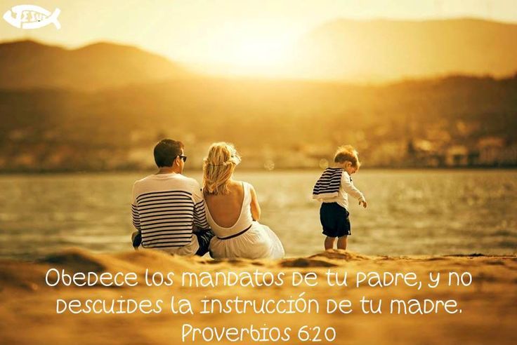Proverbios 6-20