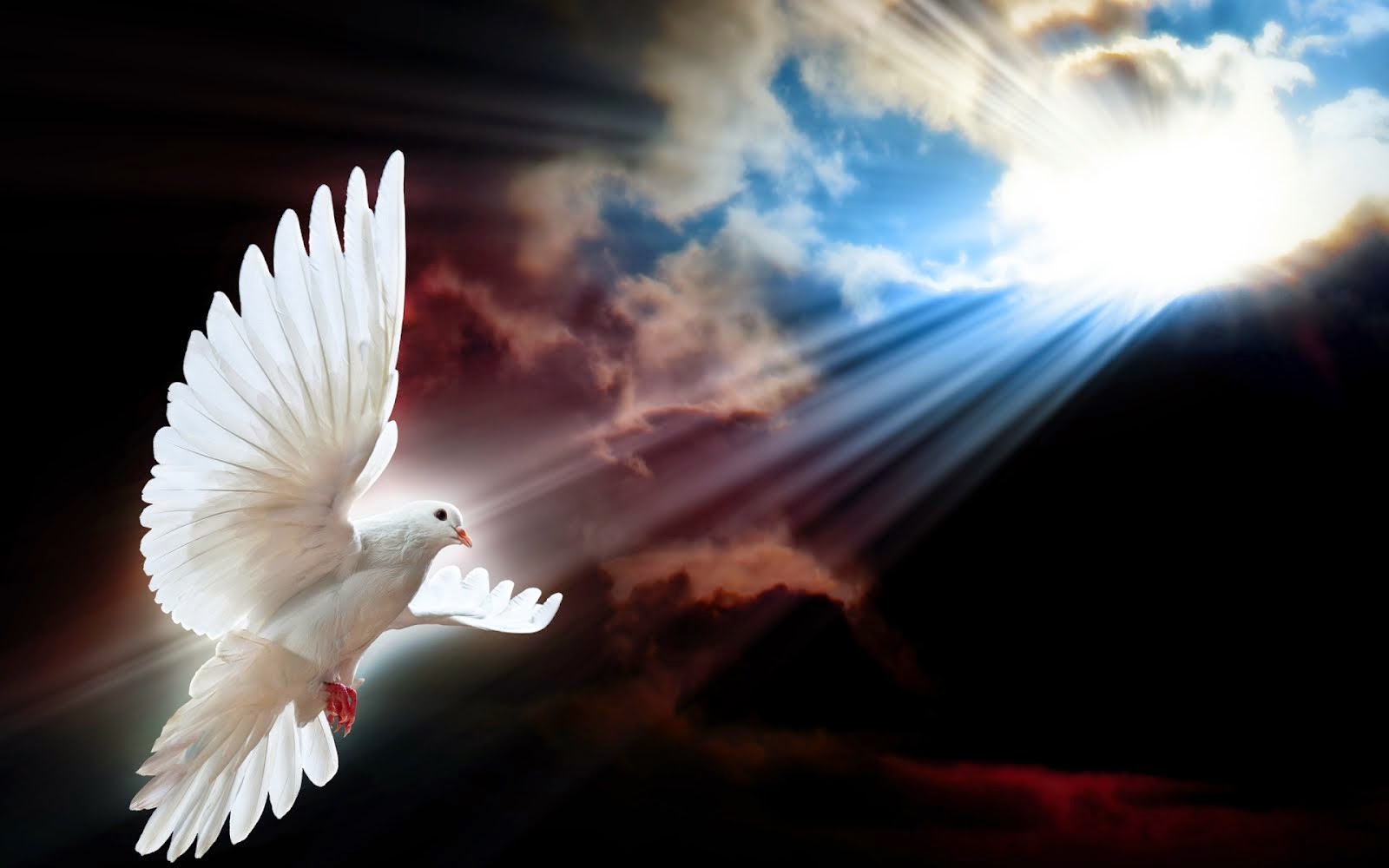 Reflexiones cristianas - bautismo de Jesus