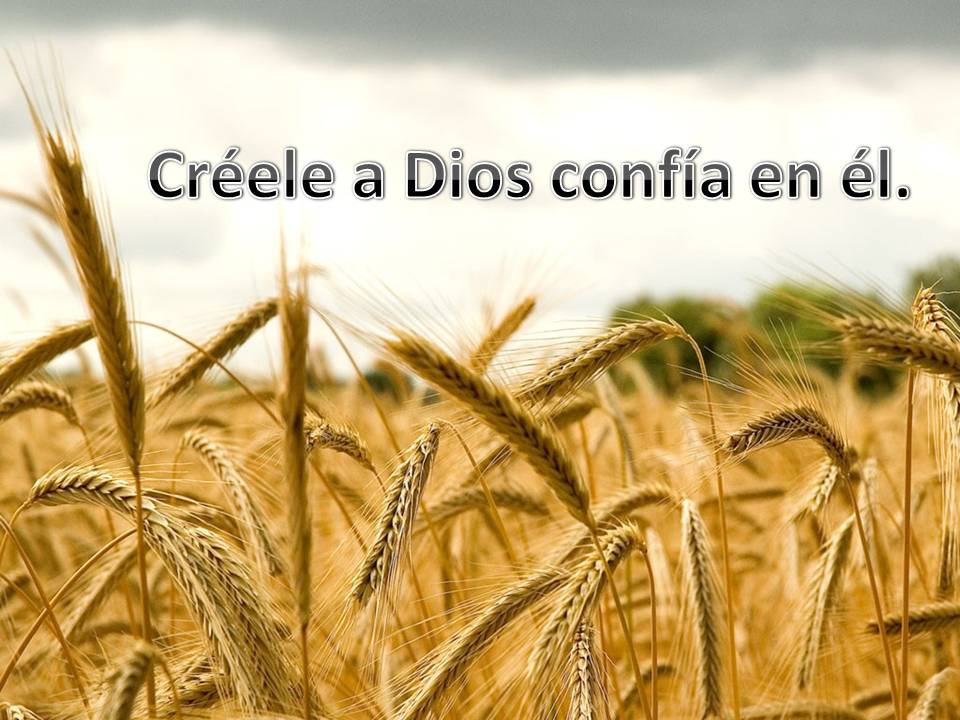creer a Dios - Reflexiones cristianas
