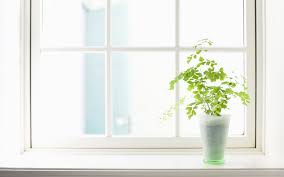 ventana
