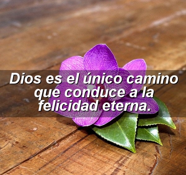 Felicidad - reflexiones cristianas