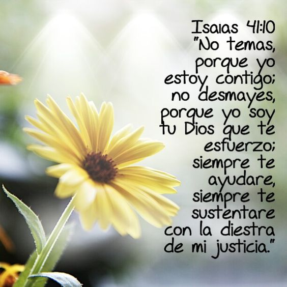 Isaías 41-10