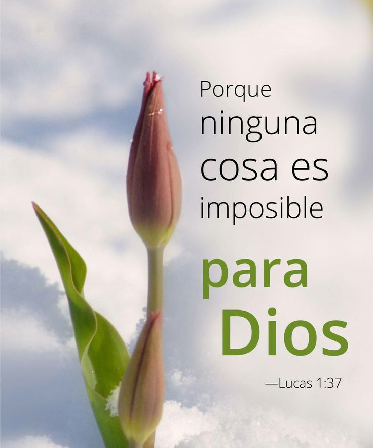 Lucas 1-37 pensamiento del dia