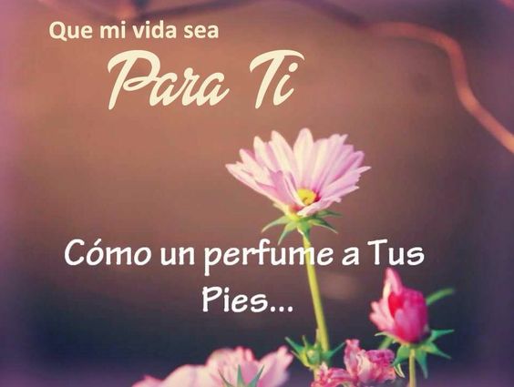 Señor, ayúdame a usar mis dones para servirte
