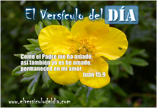 juan-15-9-Imagen-el-versiculo-del-dia