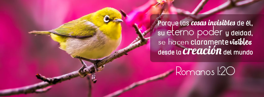 las cosas invisibles de él, su eterno poder y deidad - reflexiones cristianas