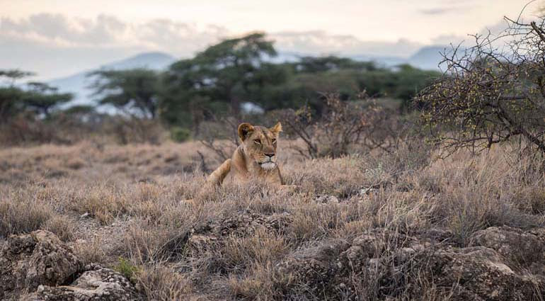 Inline image 1