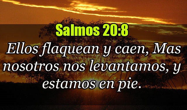 Salmos 20-8