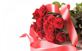 images (26)