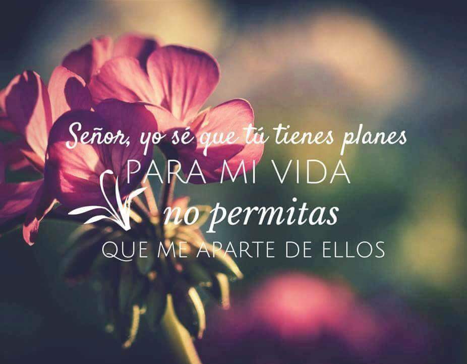 Los planes de Dios para mi vida