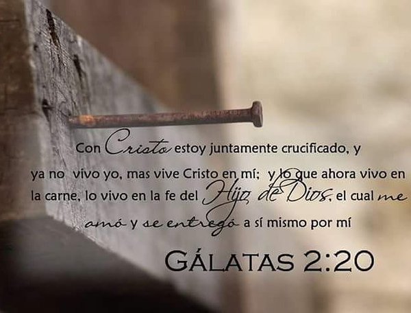 Inline image 1