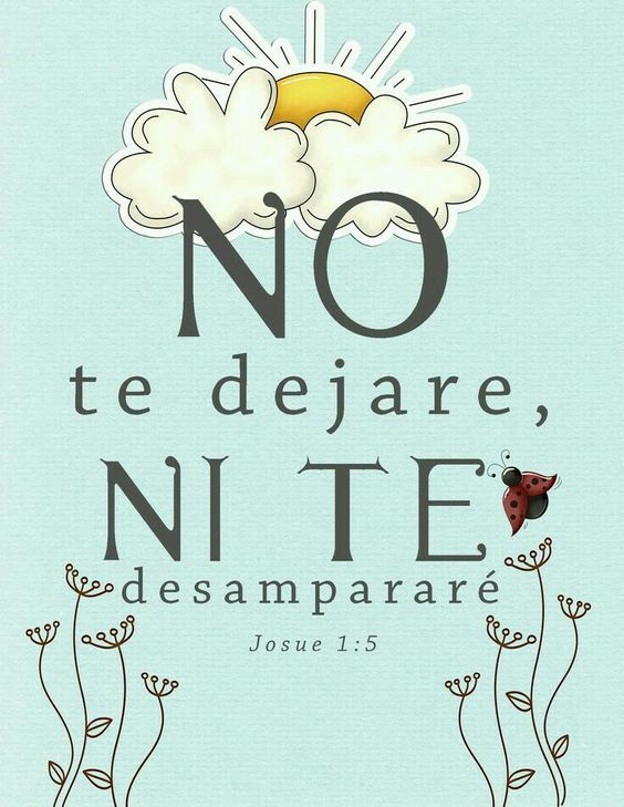No te dejare.jpg