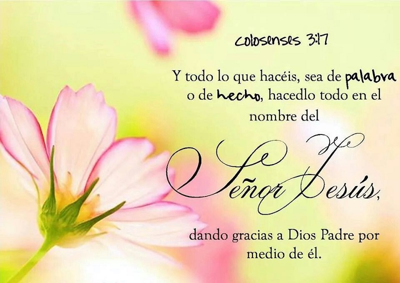Y todo lo que hagáis, hacedlo de corazón, como para el Señor y no para los hombres.jpg