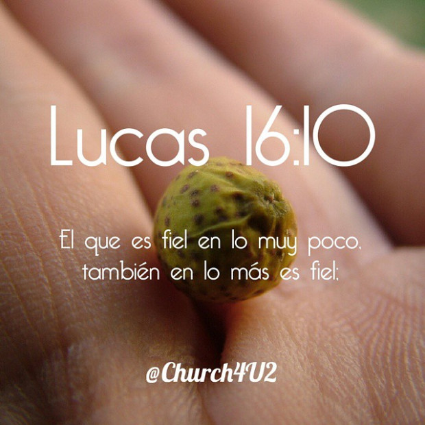 Lucas 16-10.jpg